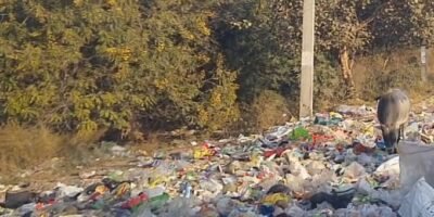 प्रशासन सख्ती करे तो आधे से अधिक पॉलिथीन समस्या खत्म हो सकती है: ओ पी सिहाग