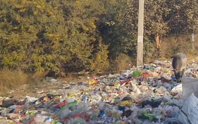 प्रशासन सख्ती करे तो आधे से अधिक पॉलिथीन समस्या खत्म हो सकती है: ओ पी सिहाग