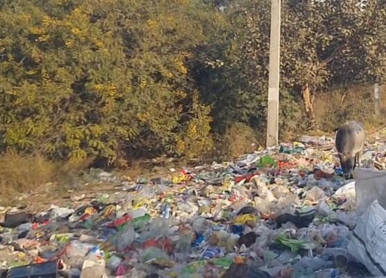 प्रशासन सख्ती करे तो आधे से अधिक पॉलिथीन समस्या खत्म हो सकती है: ओ पी सिहाग